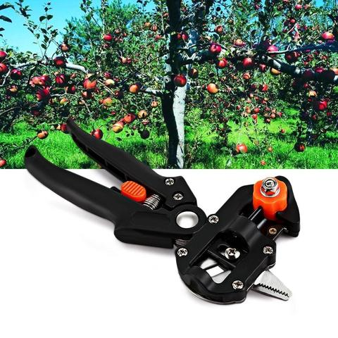 Lisslune | Refinement scissors for garden – Precise cutting tools for grafting and refining plants