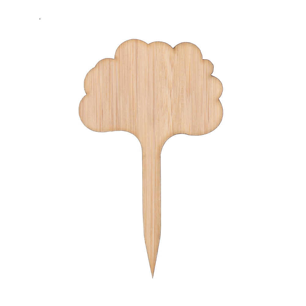Lisslune | Plant labels made of wood for garden and balcony – Rewritable labels for herbs and plants