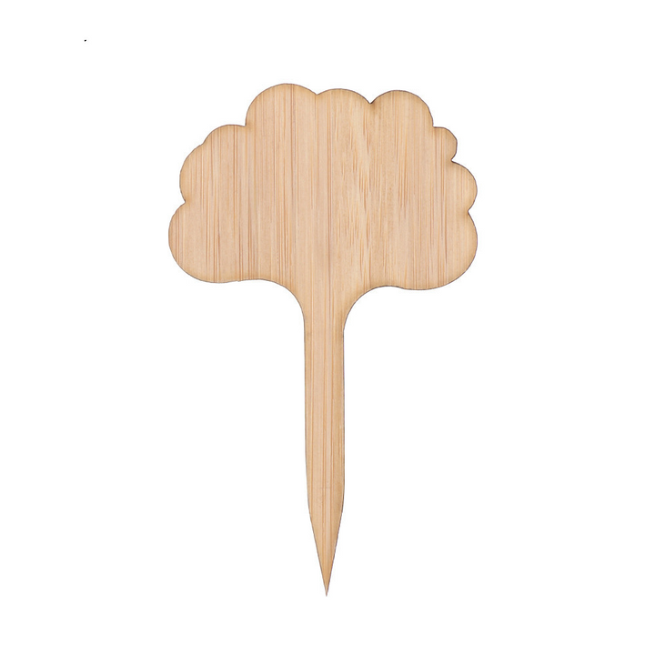 Lisslune | Plant labels made of wood for garden and balcony – Rewritable labels for herbs and plants