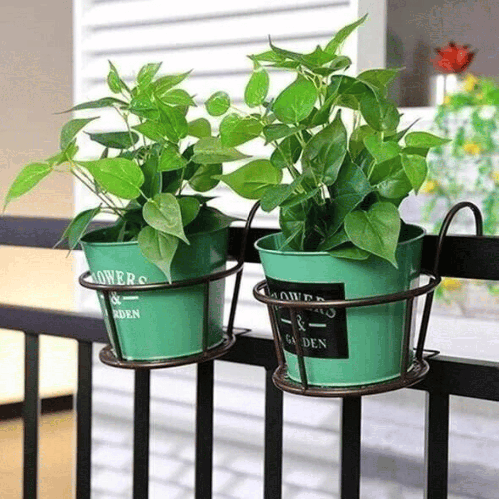 Lisslune | Support hanging for plants