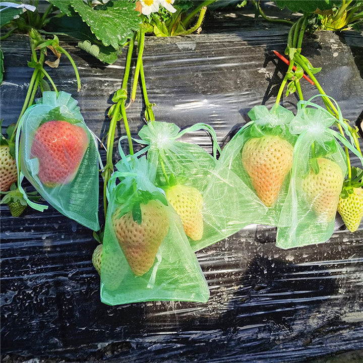 Lisslune | Fruit Protection Bag (100 PCS)