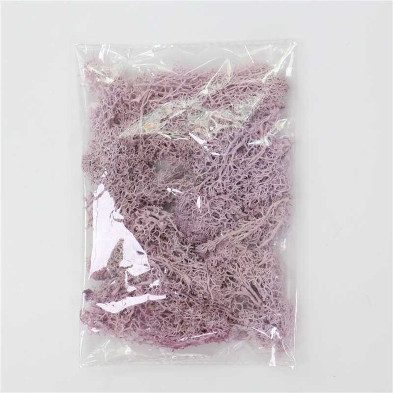 Lisslune | Artificial Moss for Landscaping – Moss and Flowers for Decoration and Floristry