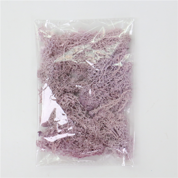 Lisslune | Artificial Moss for Landscaping – Moss and Flowers for Decoration and Floristry