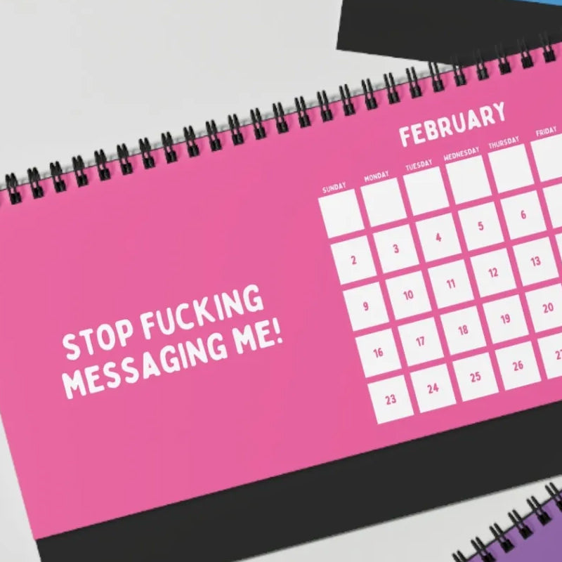 Lisslune | Funny 2025 sarcastic calendar