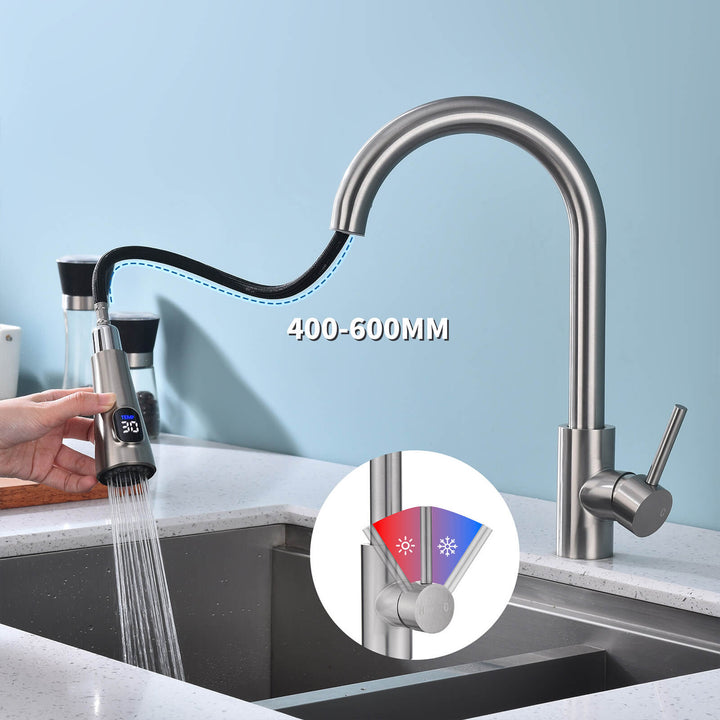 Lisslune | Kitchen faucet with 2 spray types, 360° swivel kitchen tap