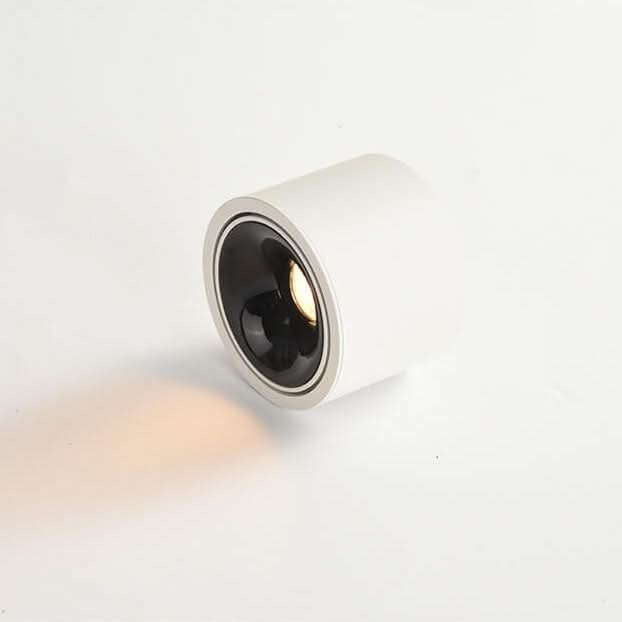 Lisslune | Adjustable LED Flush Mount Ceiling Spotlight