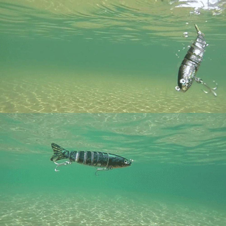 Lisslune | Swimming Fish Bait