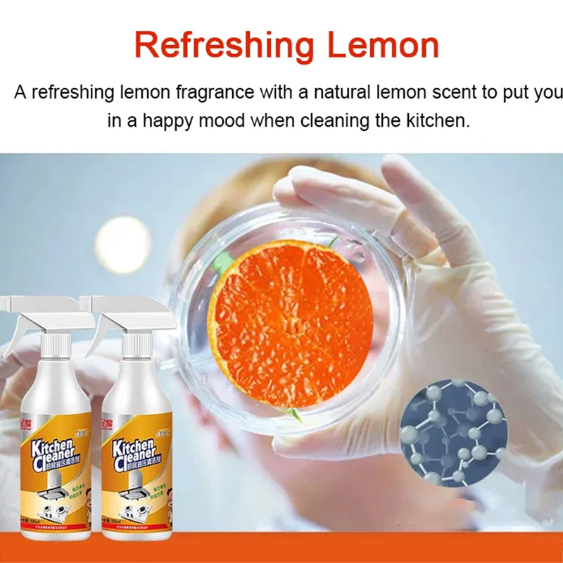 Lisslune | Kitchen Foam Cleaner (500ml)