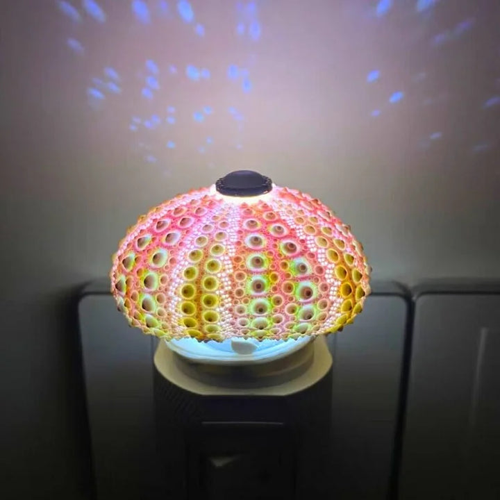 Lisslune | LumiCraft – Unique DIY table lamp with natural sea shell for a cozy décor