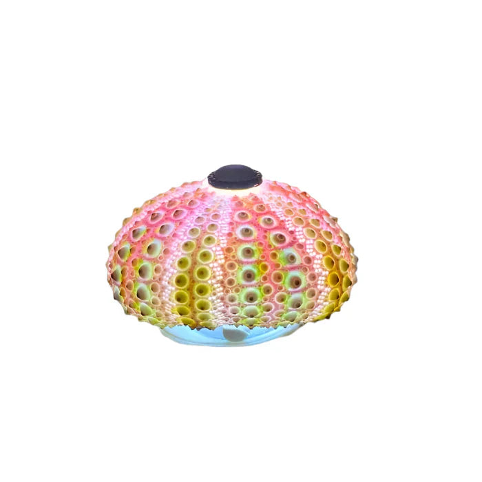 Lisslune | CoastalGlow DIY Hedgehog Night Light