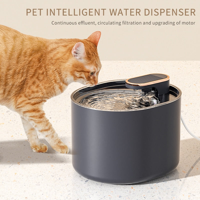 Lisslune | Automatic water source