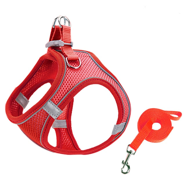 Lisslune | Small pet harness and leash set