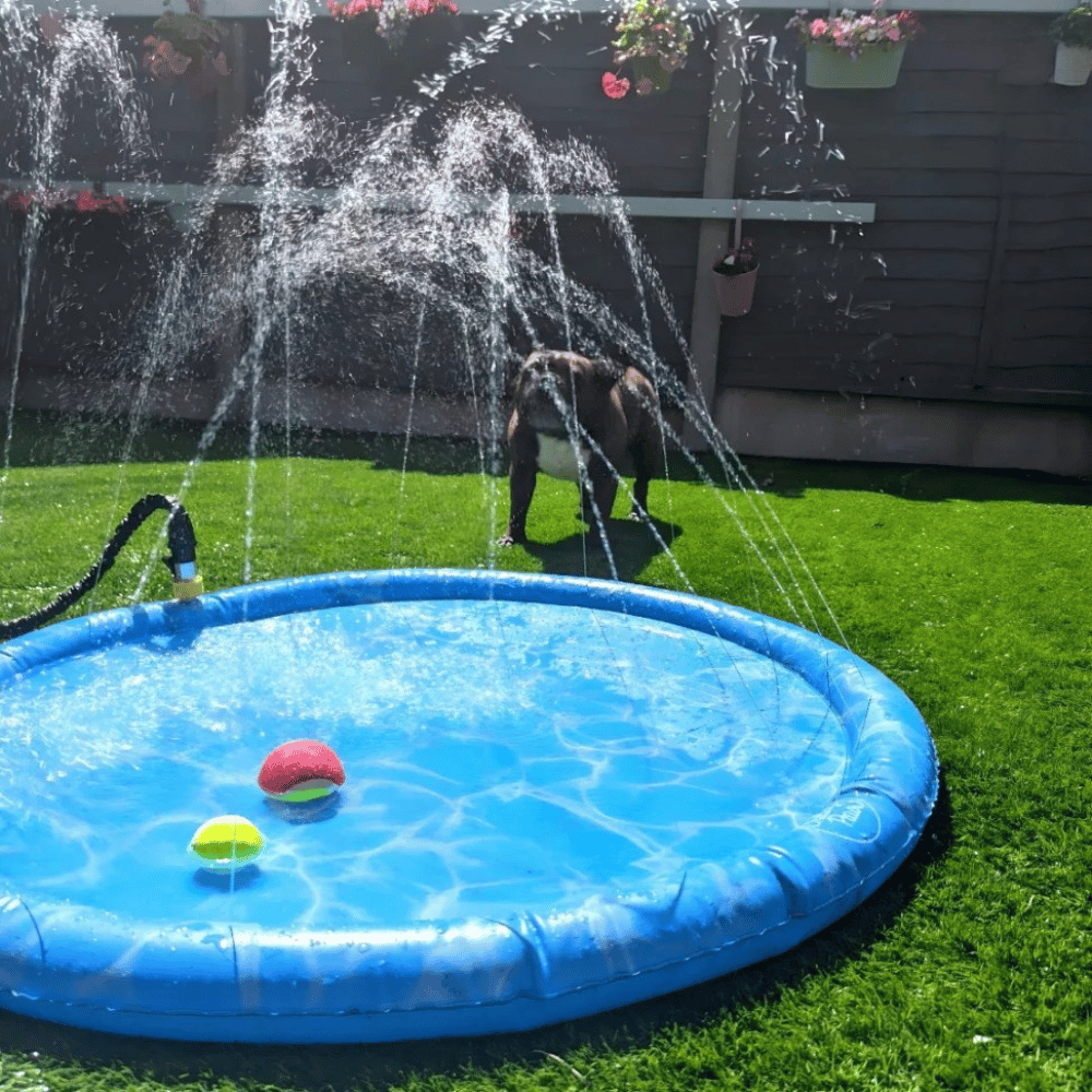 Lisslune | Dogs Water Jet Swimming Pool