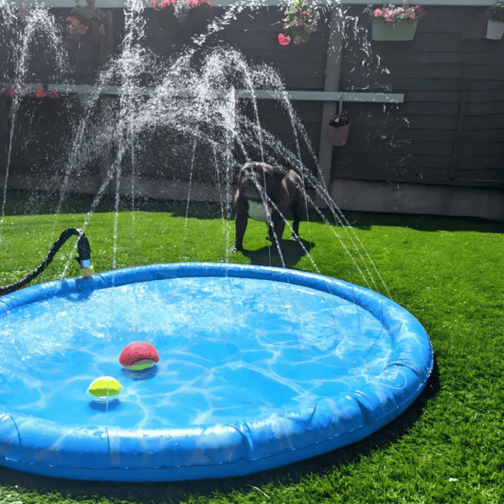 Lisslune | Dogs Water Jet Swimming Pool