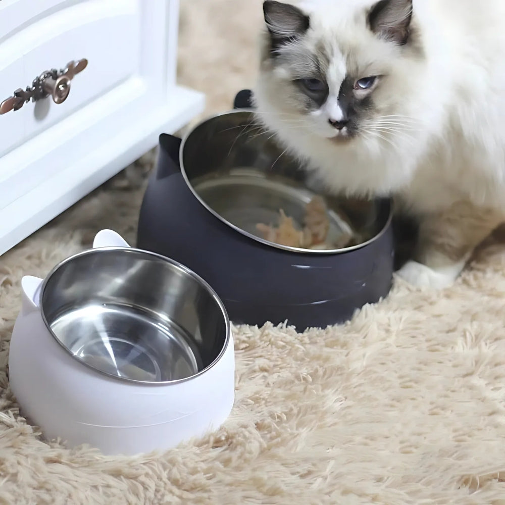 Lisslune | PurrfectAngle Pet Feeding Bowl