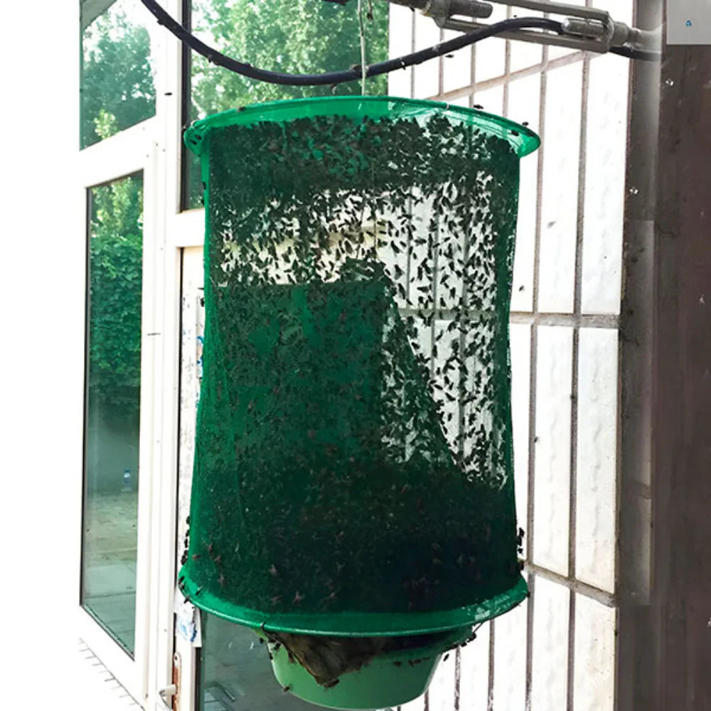 Lisslune | Reusable Fly Trap - Pack of 4