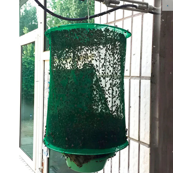 Lisslune | Reusable Fly Trap - Pack of 4