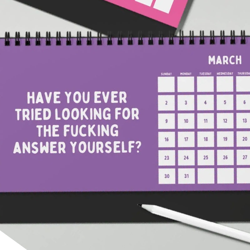 Lisslune | Funny 2025 sarcastic calendar