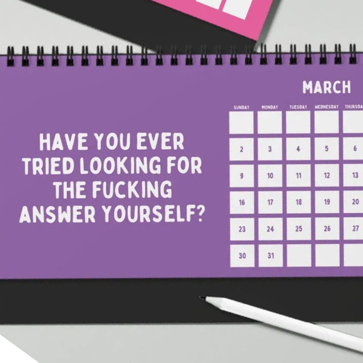 Lisslune | Funny 2025 sarcastic calendar