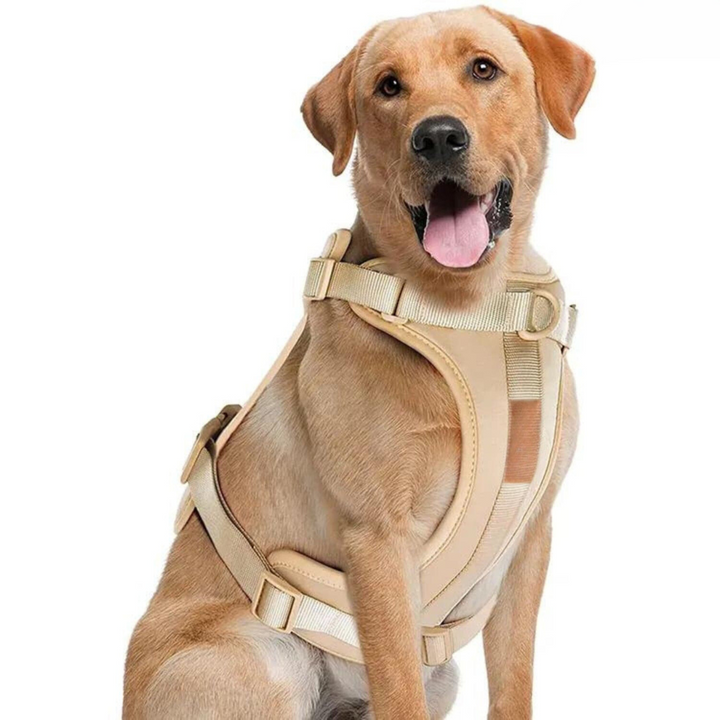 Lisslune | ComfyPaws Dog Harness Walking Set with Leash and Poop Bag Holder