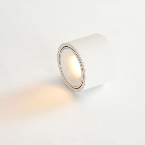 Lisslune | Adjustable LED Flush Mount Ceiling Spotlight