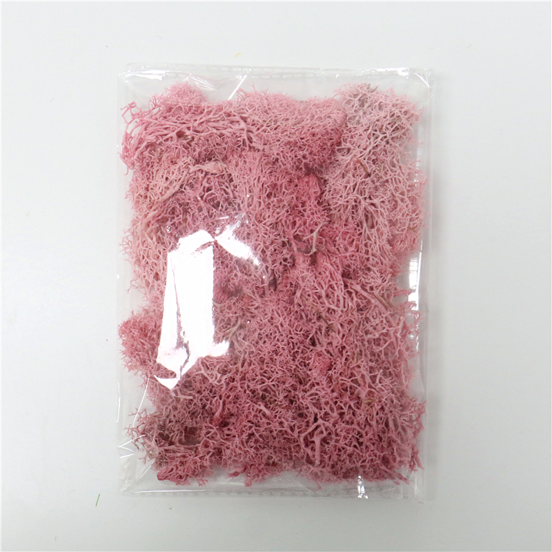 Lisslune | Artificial Moss for Landscaping – Moss and Flowers for Decoration and Floristry