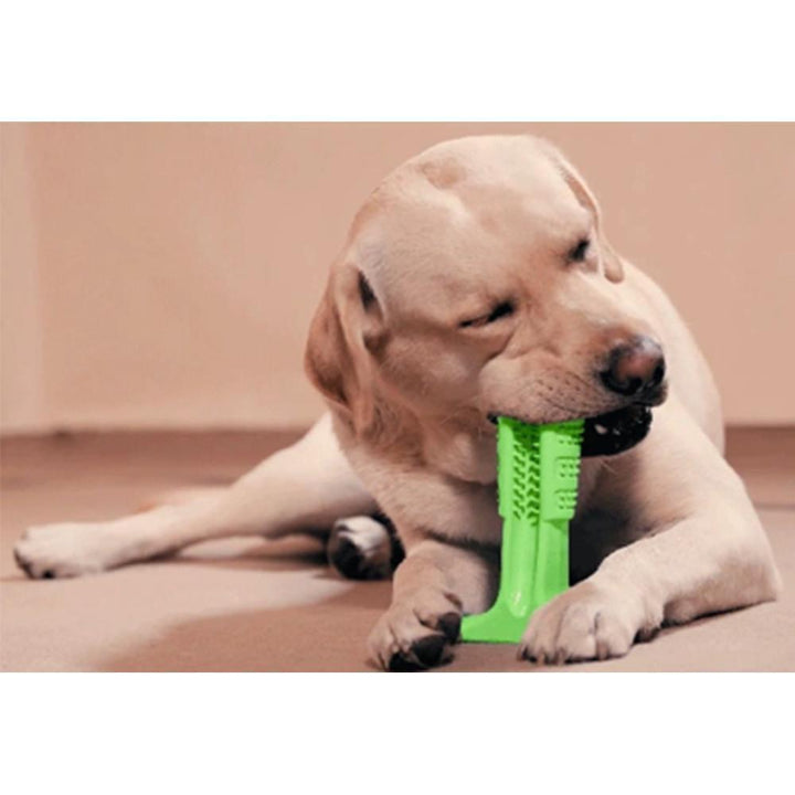 Lisslune | Pet Dog Toothbrush