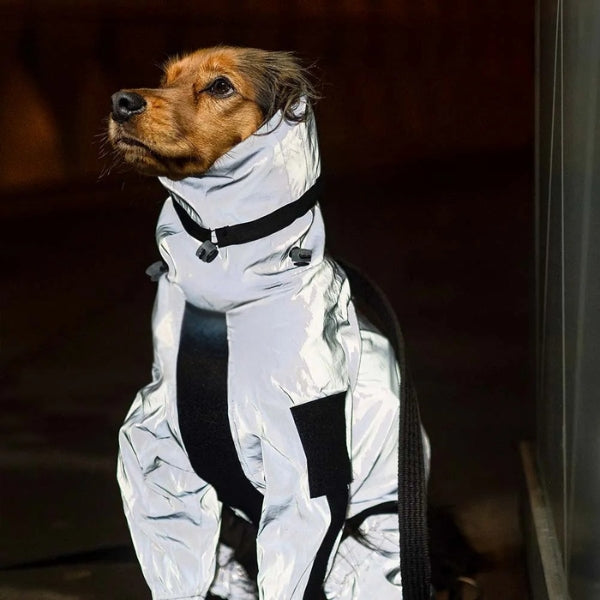 Lisslune | Waterproof Dog Coat with Legs – Reflective Dog Rain Jacket for Small & Large Breeds | Best Rain Coat for Dogs UK