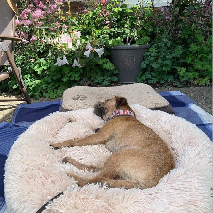 Lisslune | Calming Dog Bed