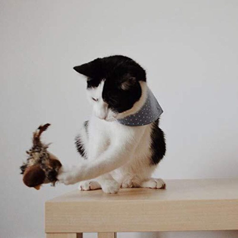 Lisslune | Cat toy - Simulated chirping bird