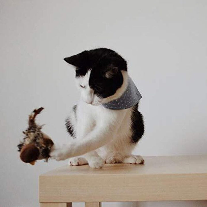 Lisslune | Cat toy - Simulated chirping bird