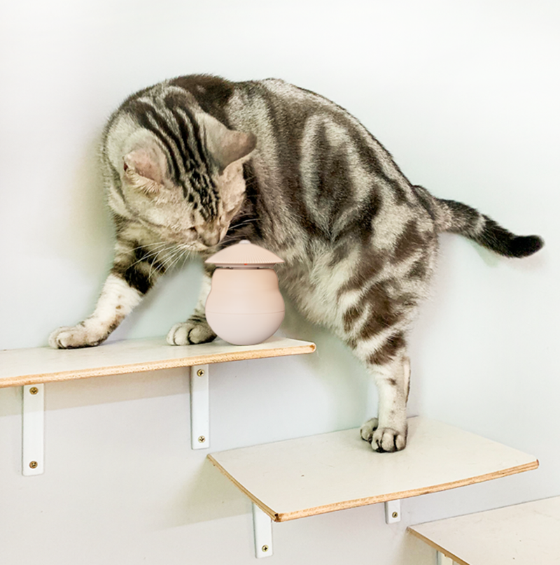 Lisslune | Automatic Laser Infrared Cat Teaser Toy