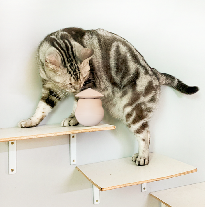 Lisslune | Automatic Laser Infrared Cat Teaser Toy
