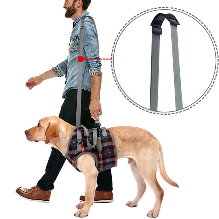Lisslune | Orthopedic Strap for Hind Legs