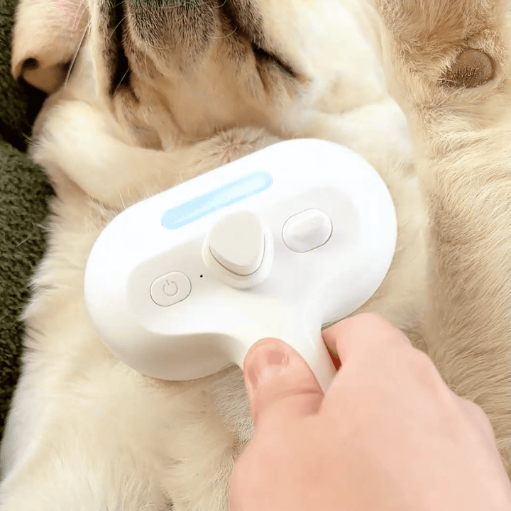 Lisslune | DampfVacht Steam Brush – Gentle Care for Every Dog Coat