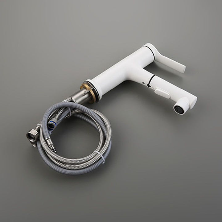 Lisslune | Contemporary Single Handle Faucet Retractable Sink Faucet with Lever Handle