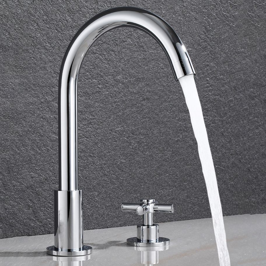 Lisslune | Goose Neck Bathroom Sink Faucet 2 Handles Hot and Cold Water Sink Faucet with Drain