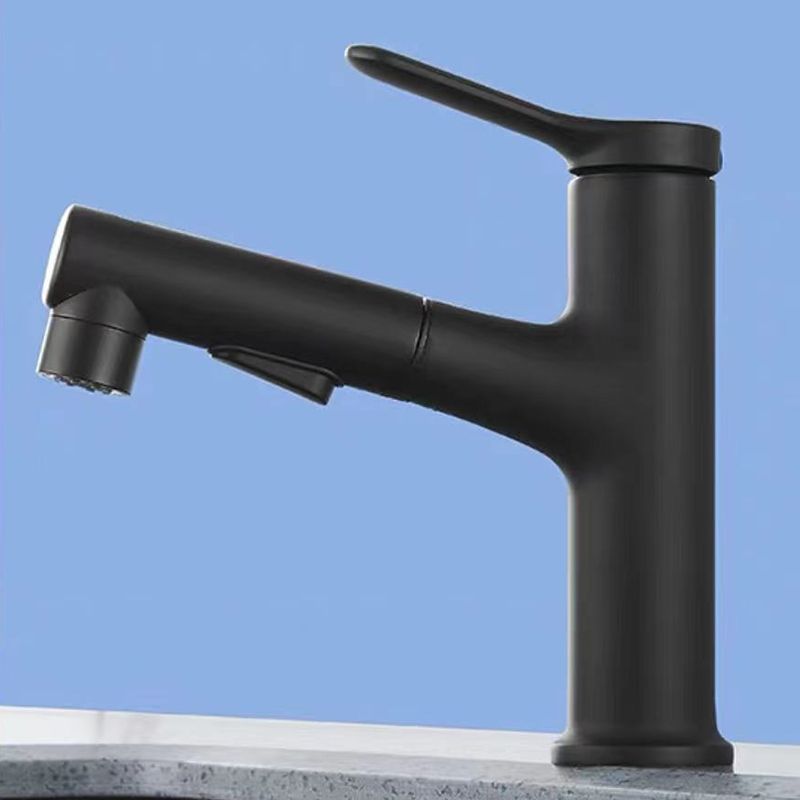 Lisslune | Contemporary Style Faucet Single Lever Mixer with Swivel Spout