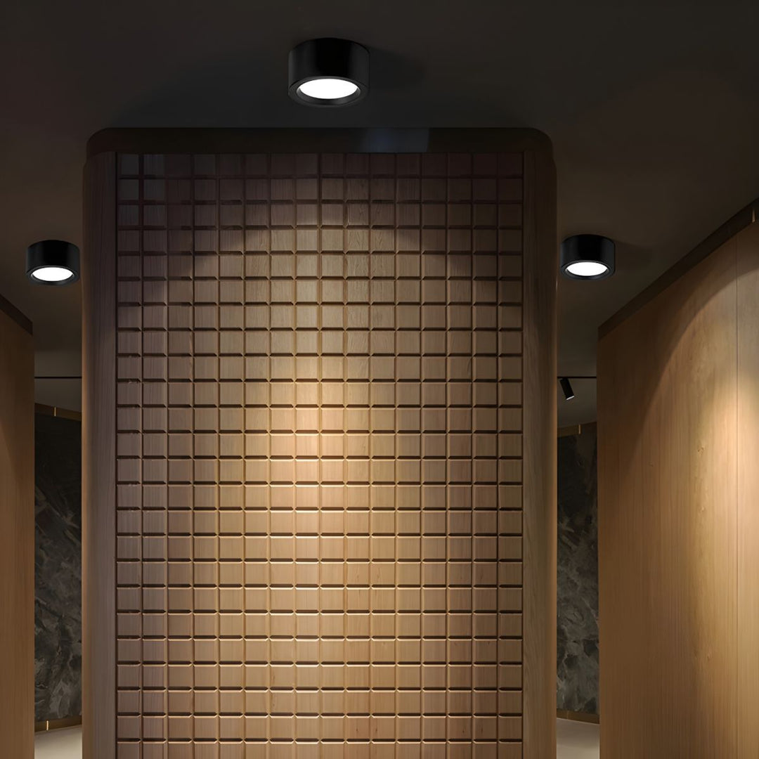 Lisslune | LED Flush Mount Ceiling Light - Nordic Style Fixture for Indoor Spaces & Modern Home Decor