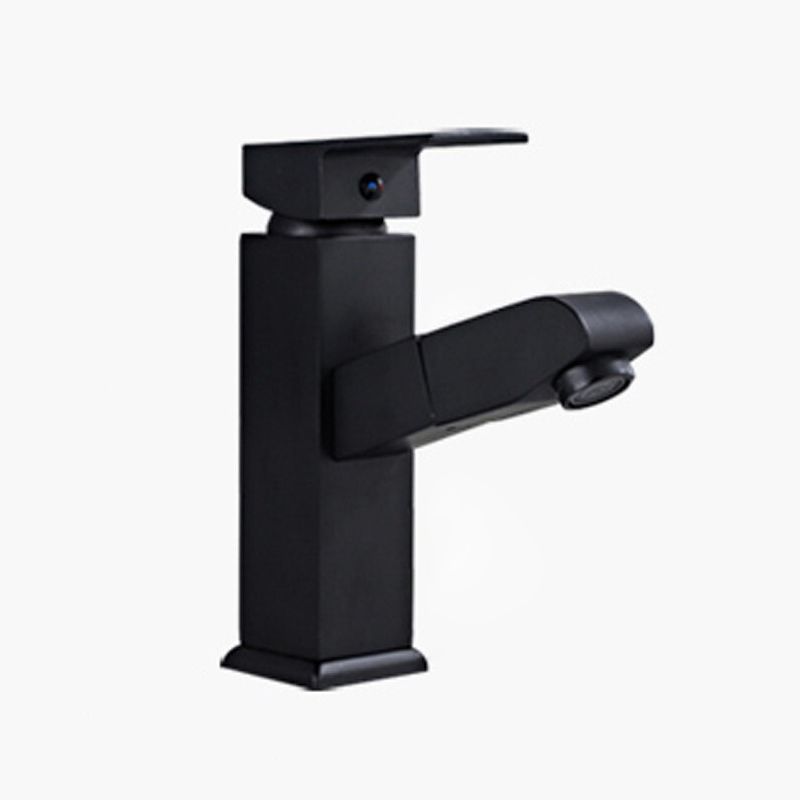 Lisslune | Contemporary Style Faucets Single Handle Swivel Spout Faucets