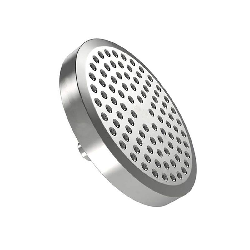 Lisslune | Contemporary Fixed Shower Head Round Metal Spray Head in Silver