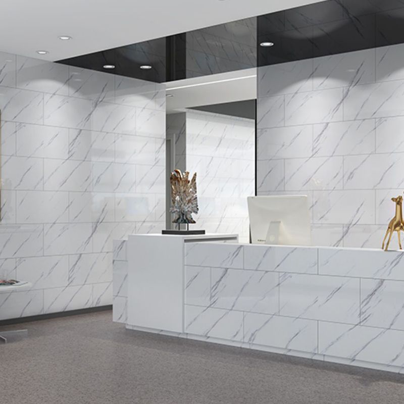 Lisslune | PVC Wall Panel Rectangle Waterproof Wall Cladding for the Living Room