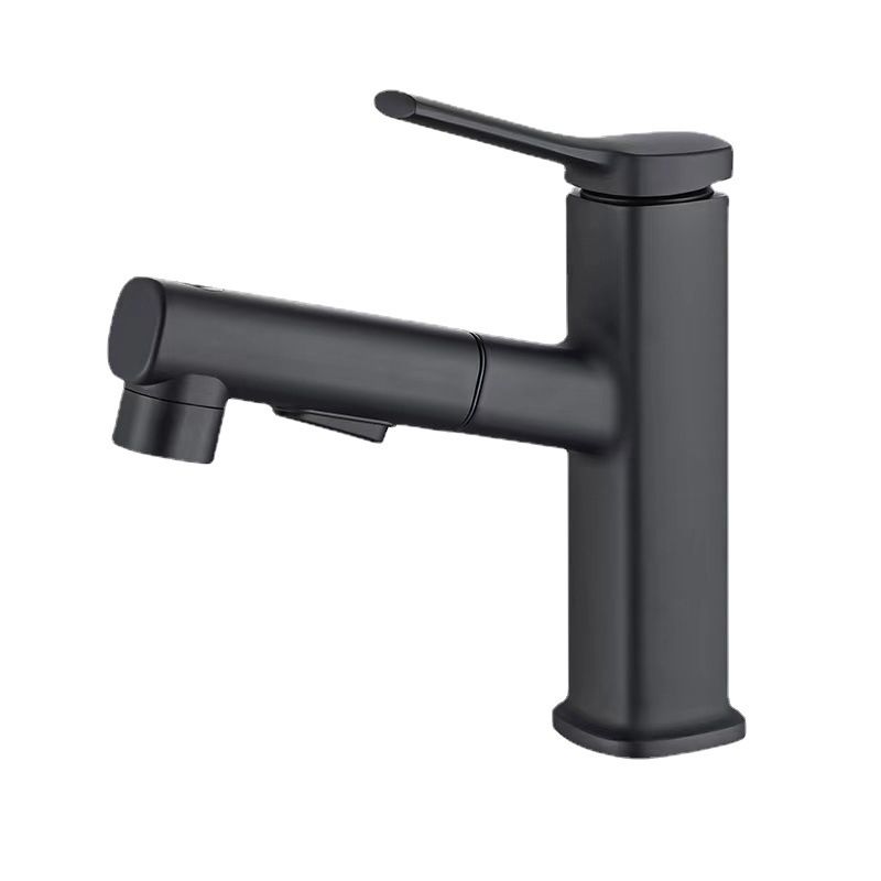 Lisslune | Contemporary Vessel Faucet Pull-out Centerset Faucet with Swivel Spout