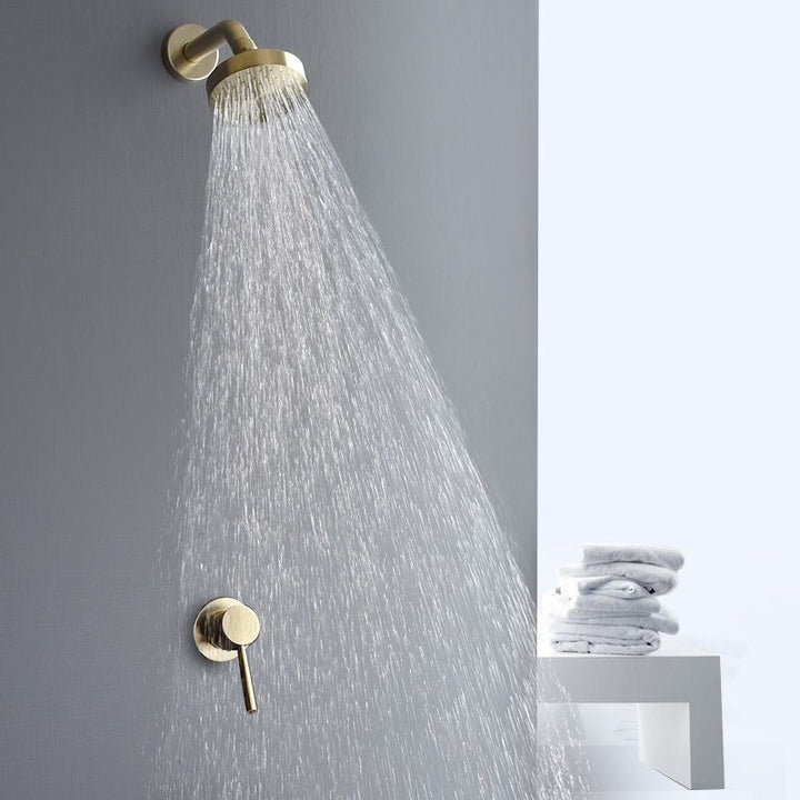 Lisslune | Stainless Steel Shower Combination Round Fixed Shower Head with Shower Arm