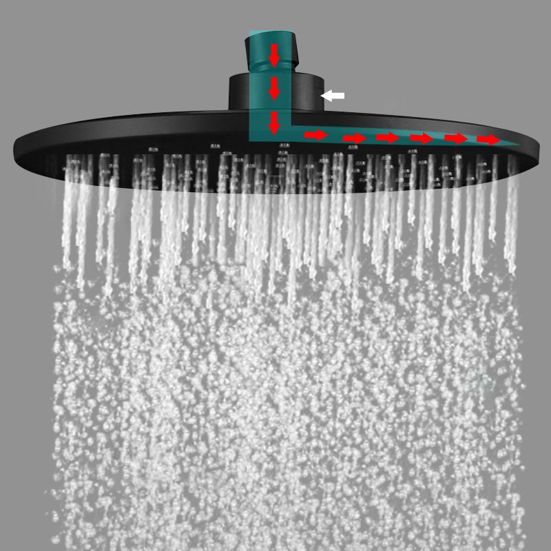 Lisslune | Contemporary Black Round Showerhead Combo Rain Shower Hand Shower