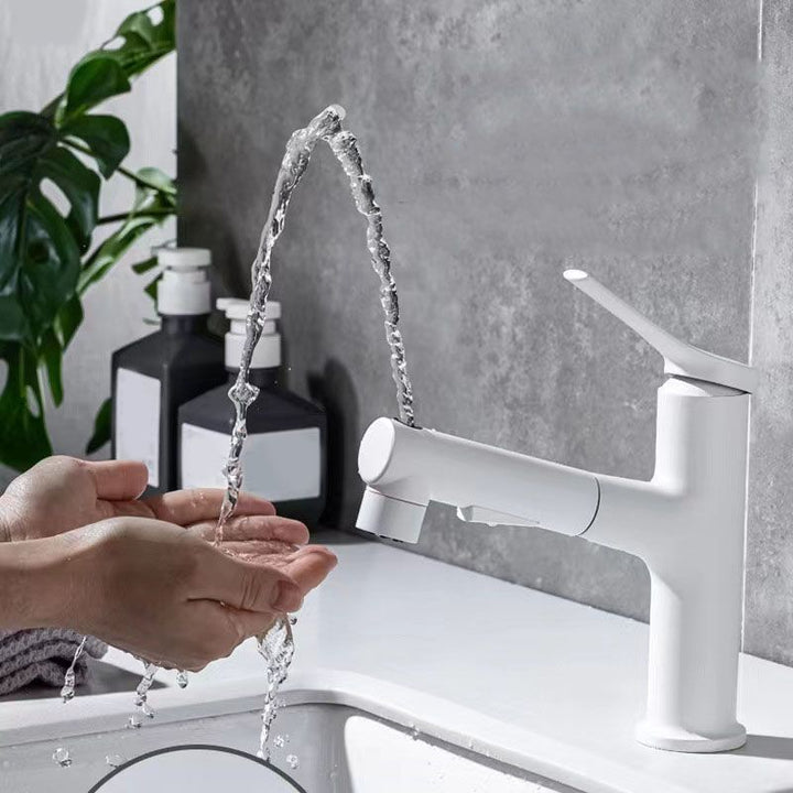 Lisslune | Contemporary Single Handle Faucet Pull Out Kitchen Faucet with Lever Handle
