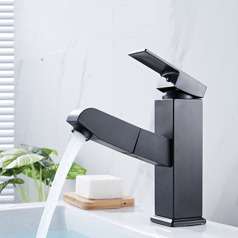 Lisslune | Contemporary Style Faucets Single Handle Swivel Spout Faucets