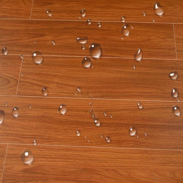 Lisslune | Mold-resistant laminate flooring wood waterproof laminate planks floor