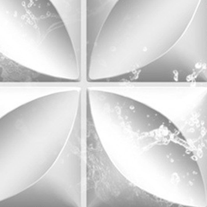 Lisslune | Wall paneling Peel and Stick 3D-embossed waterproof wall ceiling