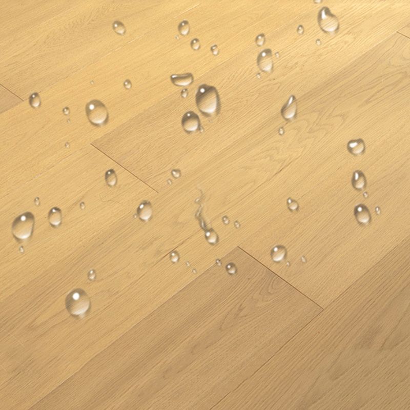 Lisslune | Modern laminate flooring waterproof click laminate flooring with wax coating